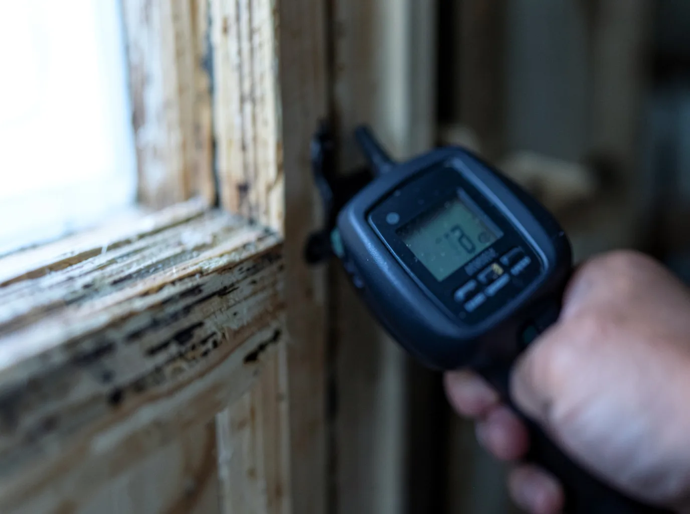 Moisture Inspection And Documentation in Panther Burn, MS